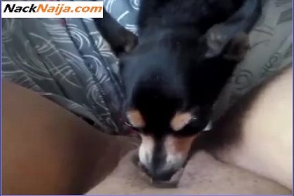 THROWBACK: Woman buys dog who has been doing her licking for her