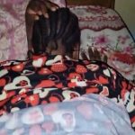 LEAK VIDEO: Chopping House Girl With Big Soft Ass LEAK VIDEO: Chopping House Girl With Big Soft Ass