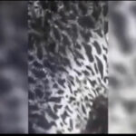VIDEO: She said her husband never fucked her ass before IMG_2125