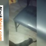 VIDEO: A state minister goes on a sex spree with 2 business women VIDEO: A state minister goes on a sex spree with 2 business women