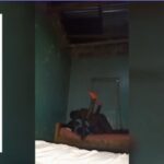 VIDEO: Finally chopping the girl that is disturbing my hood VIDEO: Finally chopped the girl that is disturbing my hood