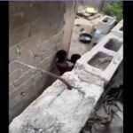 VIDEO: Caught my cousin sister fucking stranger behind the fence
