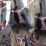 VIDEO: I caught them fucking in the backyard VIDEO: Caught them fucking in the Backyard