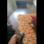 VIDEO: Fucking the manager VIDEO: Fucking the manager