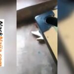 VIDEO: Chopping the local girl in a snooker bar VIDEO: Chopping the local girl in a snooker bar