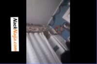 VIDEO: Chopping my street provision store woman