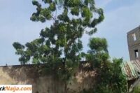 VIDEO: She seduced her compound neighbor and fucked him