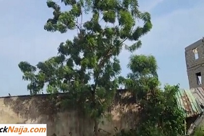 VIDEO: She seduced her compound neighbor and fucked him