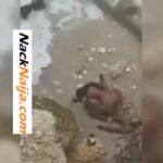 VIDEO: 2 lovers caught nacking at the beach VIDEO: 2 lovers caught secretly nacking at the beach