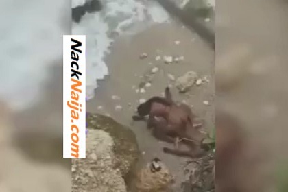 VIDEO: 2 lovers caught secretly nacking at the beach