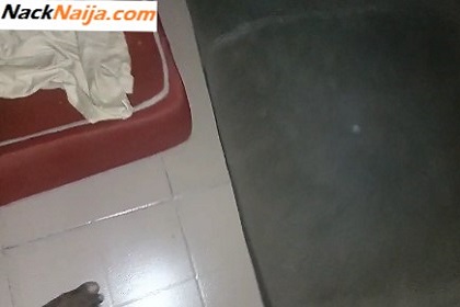 VIDEO: Just finished nacking my neighbor VIDEO: Just finished nacking my neighbor