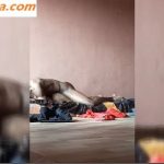 VIDEO: Chopping my neighbor morning after morning VIDEO: Chopping my neighbor morning after morning